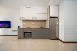 Normanton Park (D5), Apartment #452079631